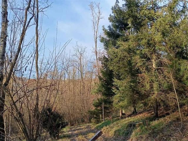 Terreno in vendita a Villa Guardia, Lombardia