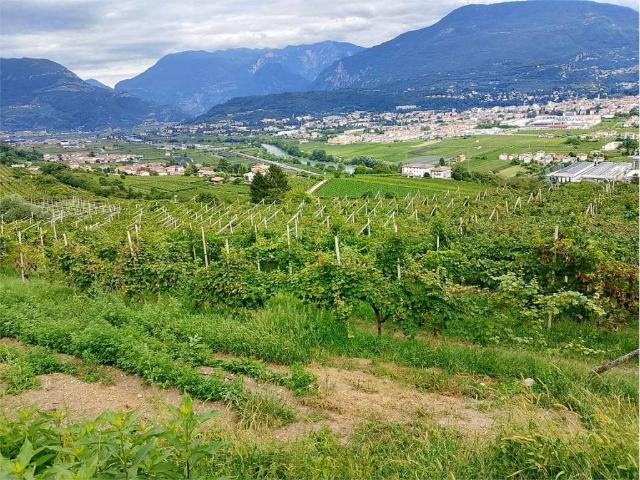 Terreno in vendita a Comunità della Vallagarina, Villa Lagarina