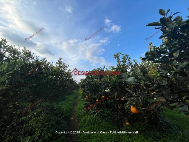Terreno in vendita a Villabate, Sicilia