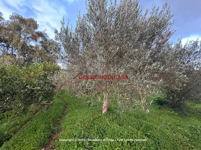 Terreno in vendita a Villabate, Sicilia