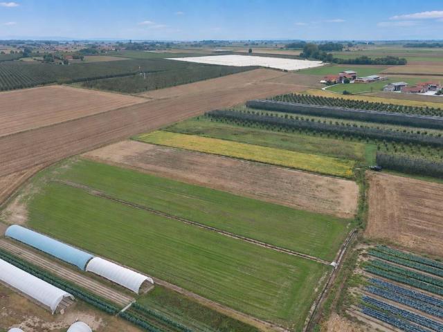 Terreno in vendita a Monsola, Villafalletto