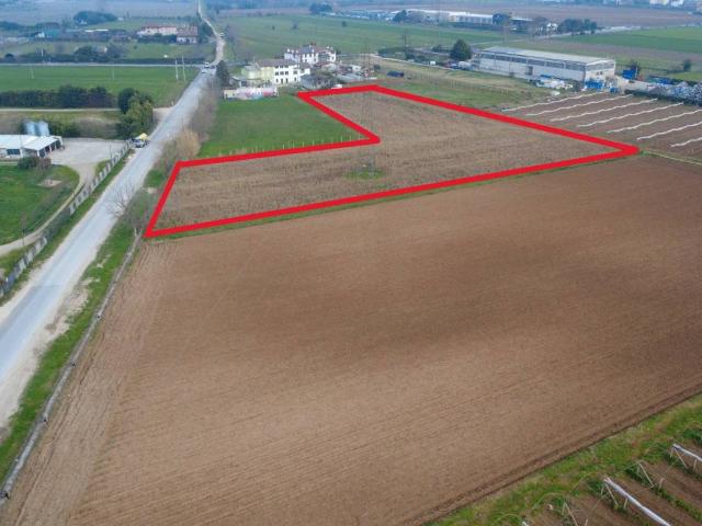 Terreno in vendita a Povegliano Veronese, Veneto