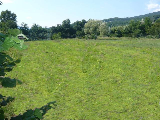 Terreno in vendita a Unione di comuni Montana Lunigiana, Villafranca In Lunigiana