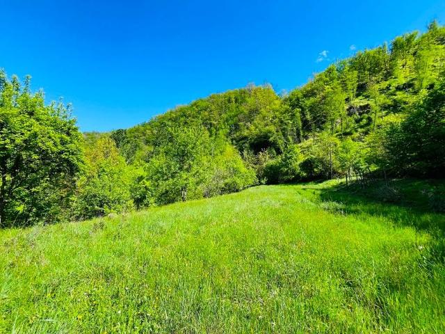 Terreno in vendita a Unione di comuni Montana Lunigiana, Villafranca In Lunigiana