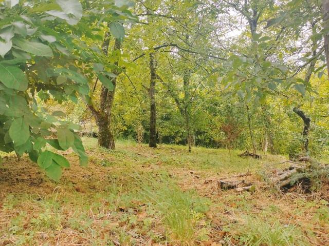 Terreno in vendita a Unione di comuni Montana Lunigiana, Villafranca In Lunigiana