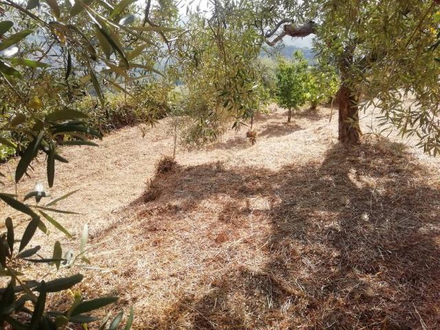 Terreno in vendita a Serro, Villafranca Tirrena