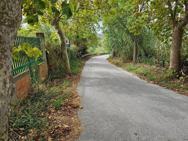 Terreno in vendita a Serro, Villafranca Tirrena