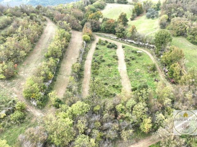 Terreno in vendita a Val Liona, Villaga