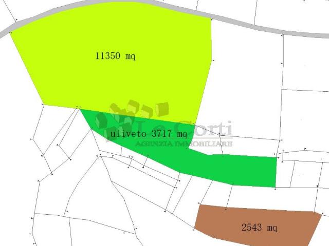 Terreno in vendita a Villaga, Veneto