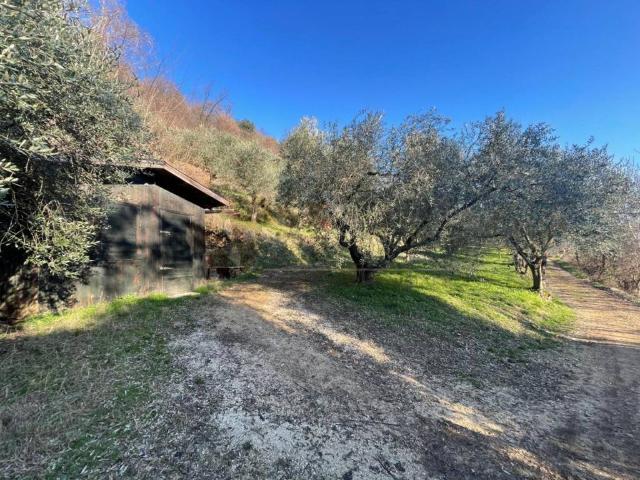 Terreno in vendita a Villaga, Veneto