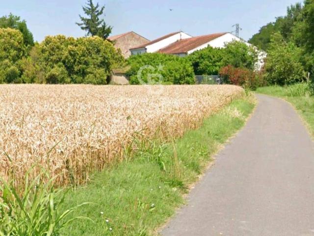 Terreno in vendita a Villamarzana, Veneto