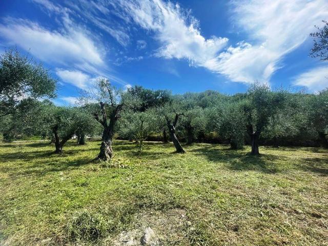 Terreno in vendita a Villanova D'albenga, Liguria
