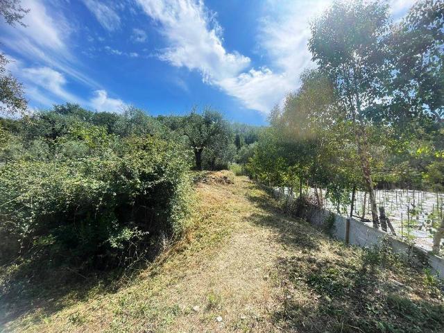 Terreno in vendita a Villanova D'albenga, Liguria