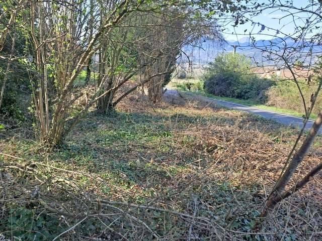 Terreno in vendita a Villanova D'albenga, Liguria
