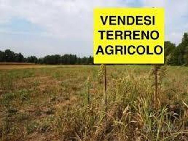 Terreno in vendita a Villanova Di Camposanpiero, Veneto