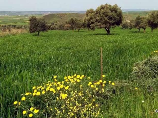Terreno in vendita a Villanovafranca, Sardigna/Sardegna