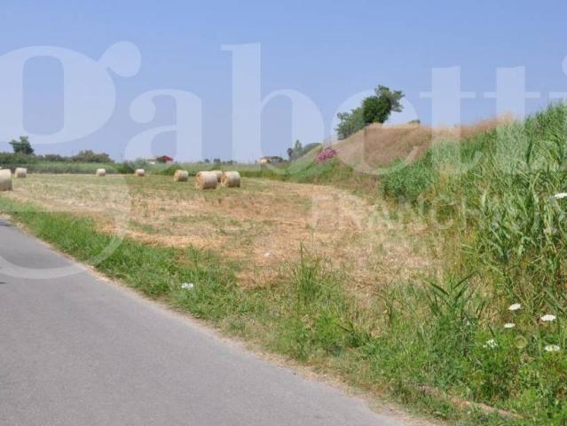 Terreno in vendita a Calabria, Cosenza