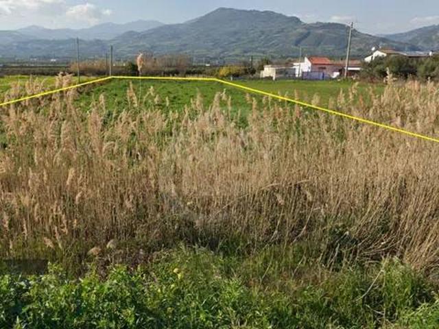 Terreno in vendita a Calabria, Cosenza