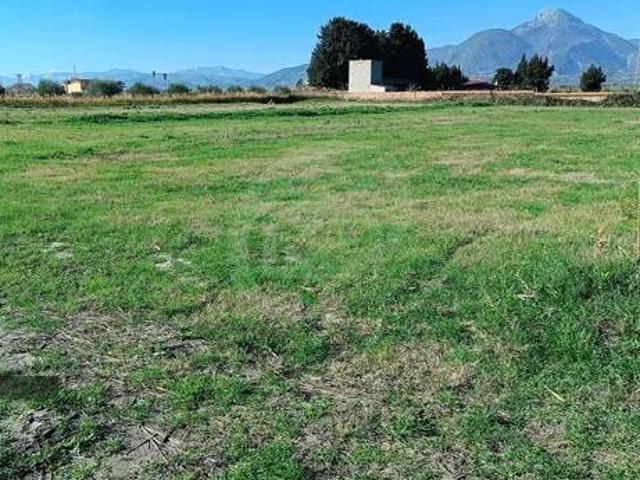 Terreno in vendita a Calabria, Cosenza