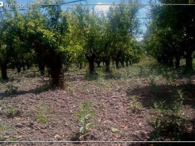 Terreno in vendita a Calabria, Cosenza