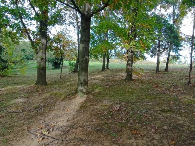 Terreno in vendita a Regione Preiles, Villarbasse