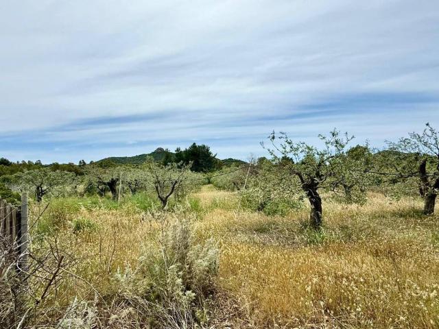 Terreno in vendita a Villasimius, Sardigna/Sardegna