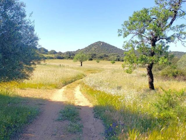 Terreno in vendita a Villasimius, Sardigna/Sardegna