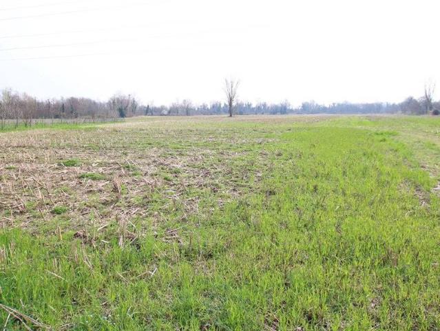 Terreno in vendita a Villaverla, Veneto