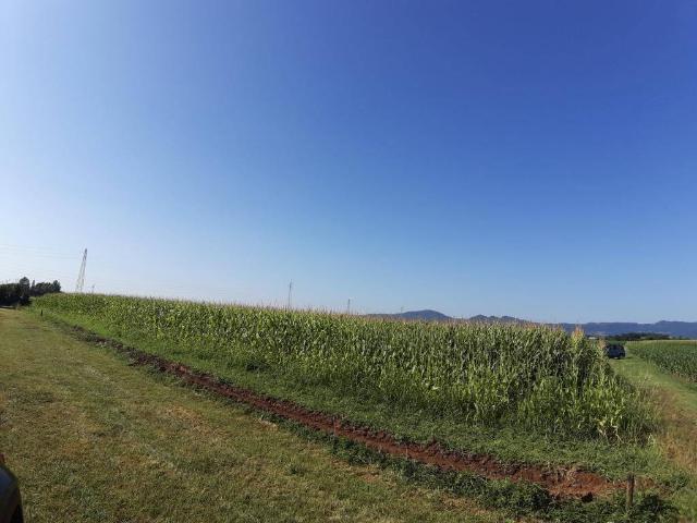 Terreno in vendita a Santo Lampertico, Thiene