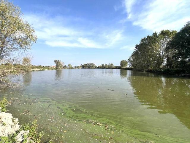 Terreno in vendita a Villimpenta, Mantova