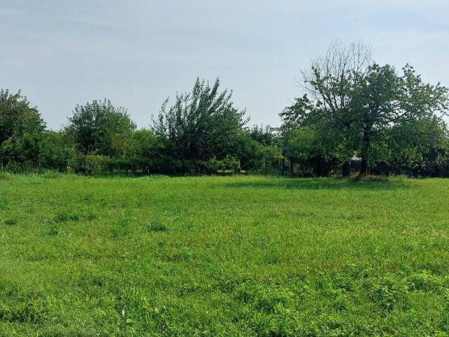 Terreno in vendita a Villorba