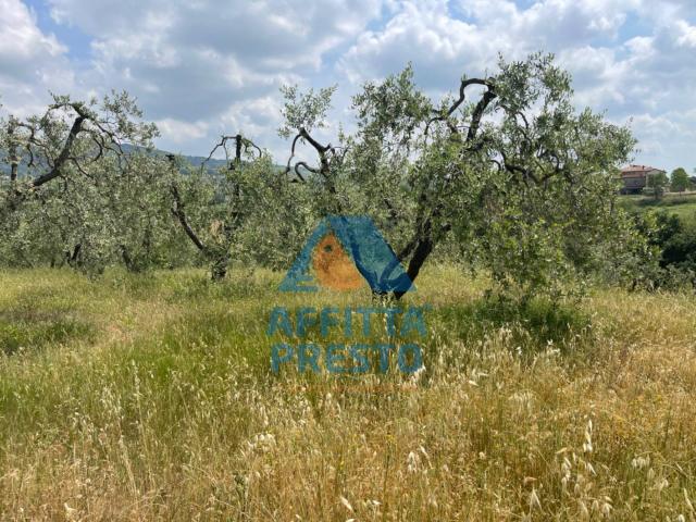 Terreno in vendita a Unione dei Comuni Circondario dell'Empolese Valdelsa, Vinci