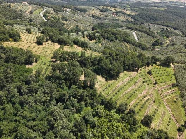 Terreno in vendita a Unione dei Comuni Circondario dell'Empolese Valdelsa, Vinci