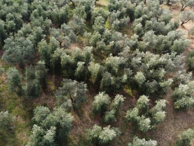Terreno in vendita a Unione dei Comuni Circondario dell'Empolese Valdelsa, Vinci