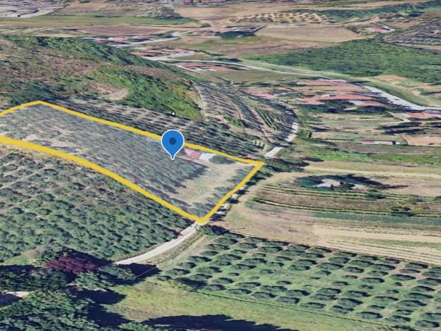 Terreno in vendita a Unione dei Comuni Circondario dell'Empolese Valdelsa, Vinci