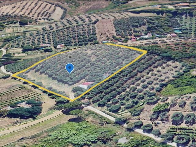 Terreno in vendita a Unione dei Comuni Circondario dell'Empolese Valdelsa, Vinci