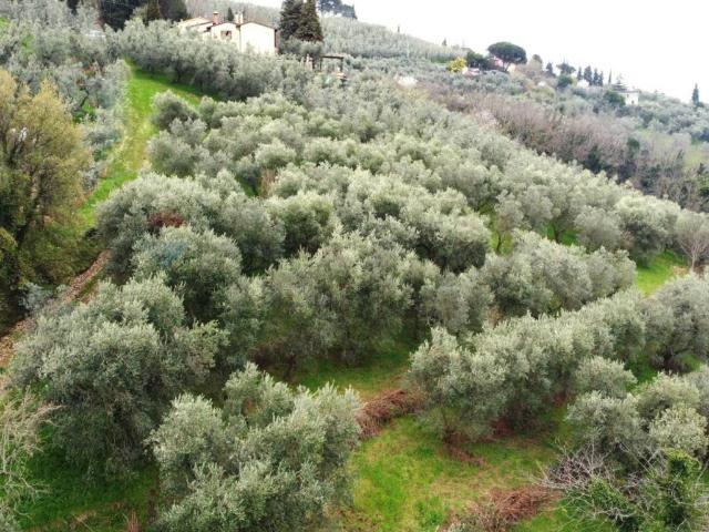 Terreno in vendita a Unione dei Comuni Circondario dell'Empolese Valdelsa, Vinci