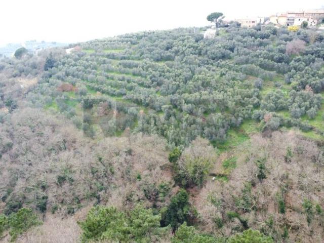 Terreno in vendita a Unione dei Comuni Circondario dell'Empolese Valdelsa, Vinci
