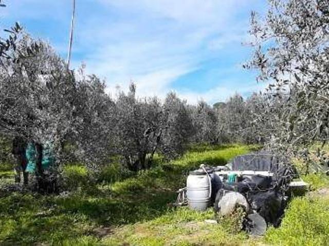 Terreno in vendita a Unione dei Comuni Circondario dell'Empolese Valdelsa, Vinci