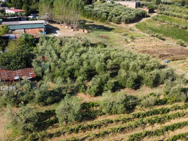 Terreno in vendita a Unione dei Comuni Circondario dell'Empolese Valdelsa, Vinci
