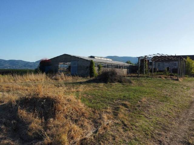 Terreno in vendita a Unione dei Comuni Circondario dell'Empolese Valdelsa, Vinci