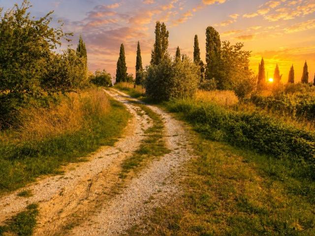 Terreno in vendita a Unione dei Comuni Circondario dell'Empolese Valdelsa, Vinci