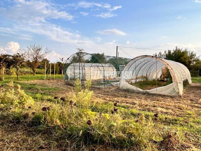 Terreno in vendita a Vinovo, Torino