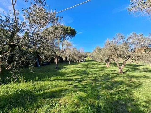Terreno in vendita a Viterbo, Lazio