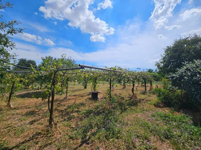 Terreno in vendita a Viterbo, Lazio