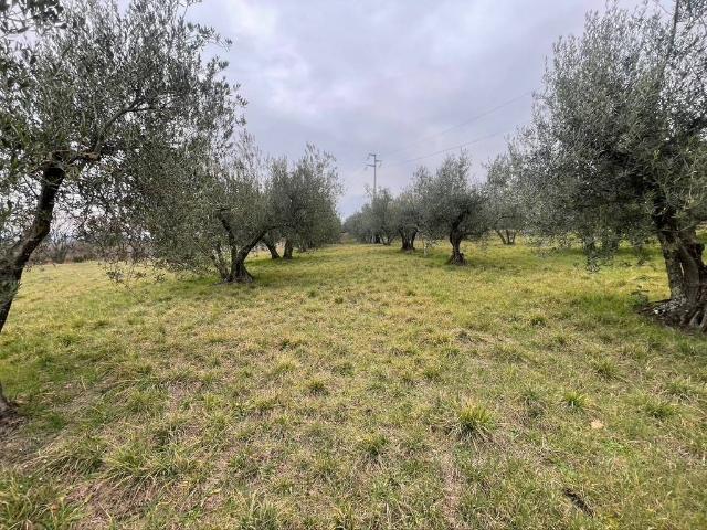 Terreno in vendita a Viterbo, Lazio