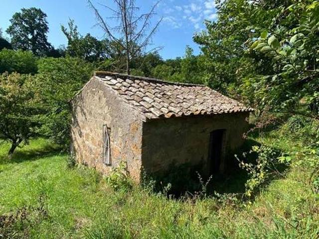 Terreno in vendita a Viterbo, Lazio