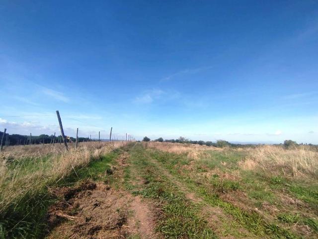 Terreno in vendita a Viterbo, Lazio