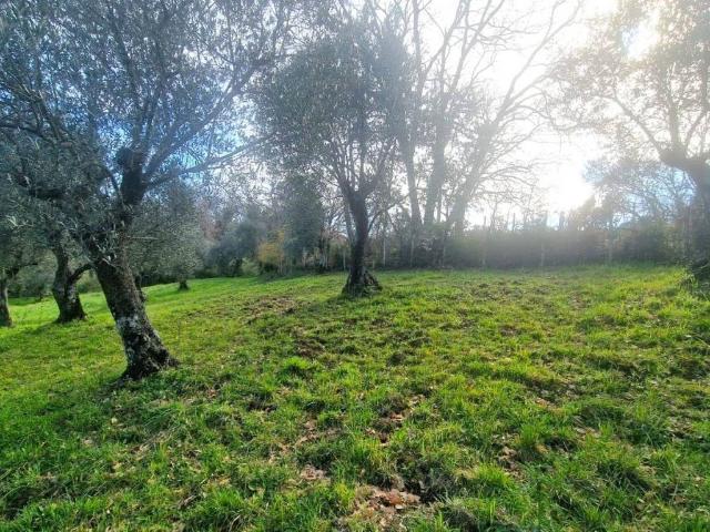 Terreno in vendita a Viterbo, Lazio