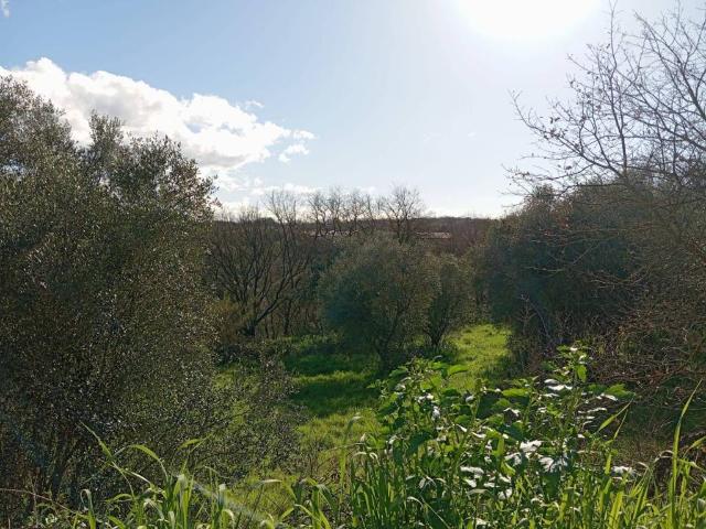 Terreno in vendita a Viterbo, Lazio